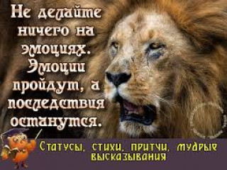images_12