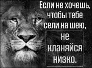 images_11