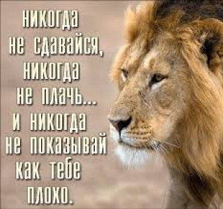 images_9