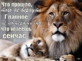 images_7