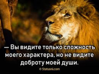 images_6