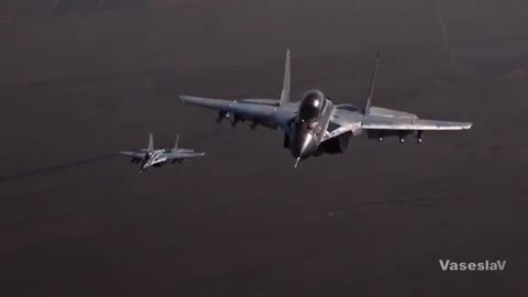 птицы_России