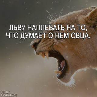 8e206bf3de0ad357a71484eb2bd72a00