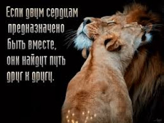 images_3