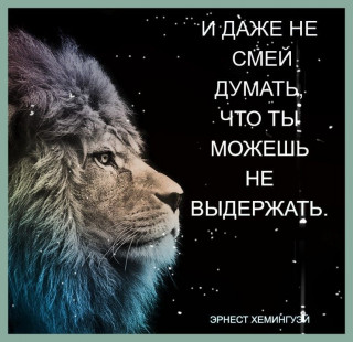 b58cd980dfcd031e57ff97dcb3b9adaa