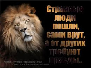 images_1