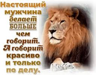 images33