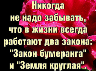 НИКОГДА___