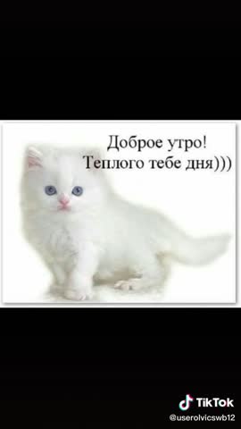 _Утро