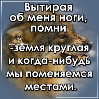 ВЫТИРАЯ___