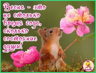 _smile_ua____B9Lvzx5njUT___