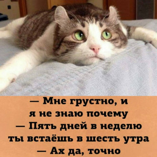 lena_yelena___B9QA0GSHzIy___