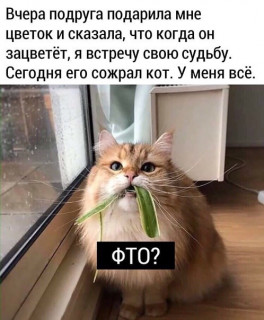 verdieva1009___B9MPROuoH-q___