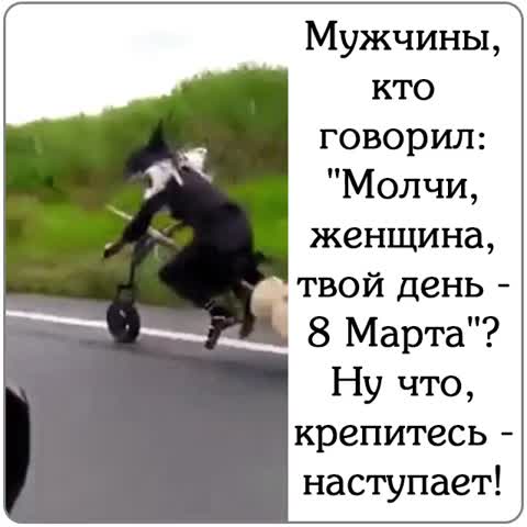 На метле