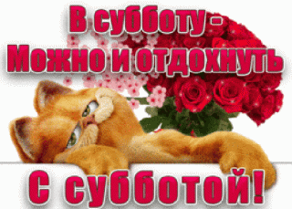 QcbO5MLlXakO