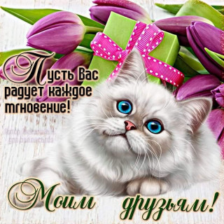 marinabazheno___B9YI2yOIc-q___