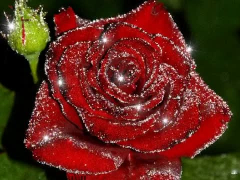 video-9d8d487c00bf4de5d5bcbfe5f8909ffa-V