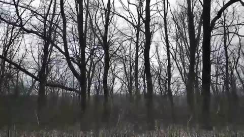 video-db77507f48e6321a8f7c22cb1248b2ec-V