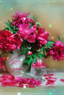 PerkySleepyGibbon-small