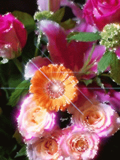 ApprehensiveSeriousBeetle-size_restricted