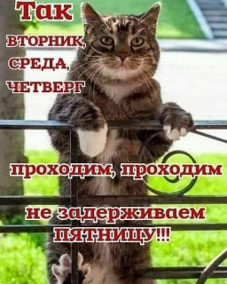 marinabazheno___B9lIwBvIVJA___