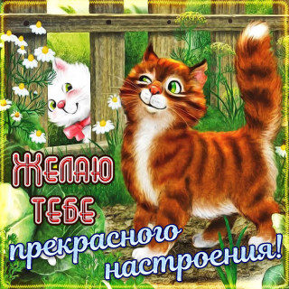 nNwz2Bf9OmU