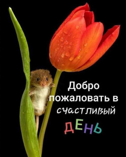 marinabazheno___B9iipxaIH3e___