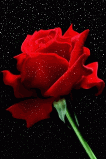 721ab326867c32479374bec1dc1d324f