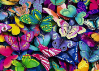 462917_240x320