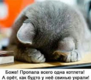 valentina_16555___B9s3GepocgK___
