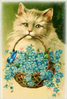 Кот с незабудками