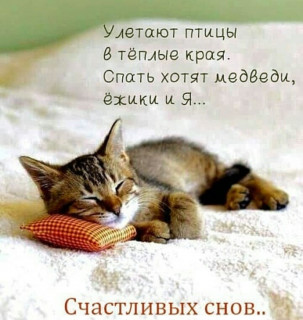 valentina_16555___B9wBO1DIKa6___