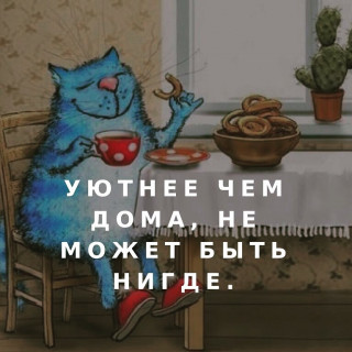 svekrov_v_teme___B9wCvOjggvy___
