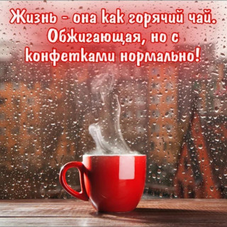 shamil_850___B9yp4Y9BCAY___