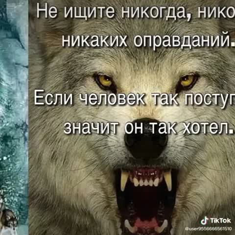 VID_22210908_141834_988