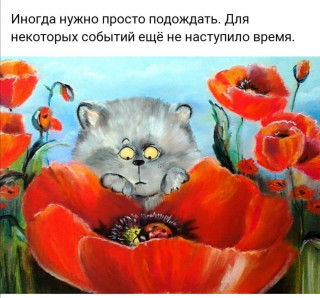 moimir_j___B93ujEunr9A___