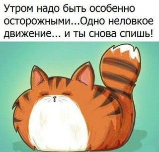 zhenskij_boom___B9myJ0poz8f___