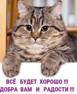 o1NqaM3hqtI