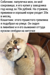 VpAAKTS9Bbk