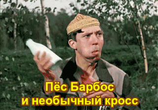 lNy5ibbAsbfw