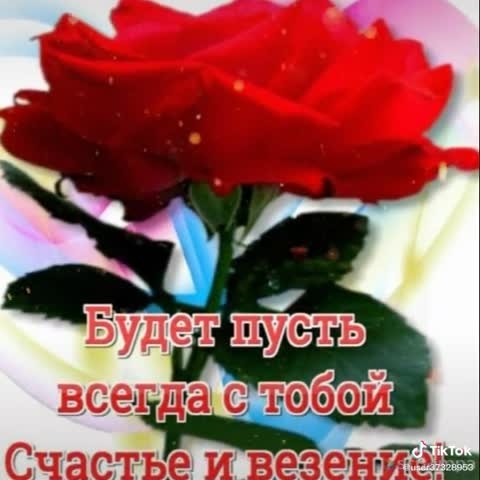 Дружба