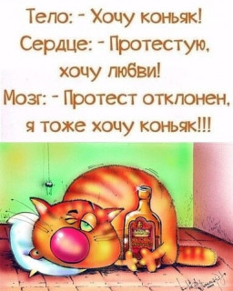 elkonatalia___B99jjomIjGR___