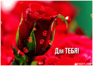 Тебе от меня  анимаш