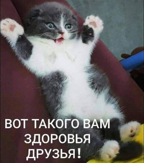 elkonatalia___B-HC9jhI7zQ___