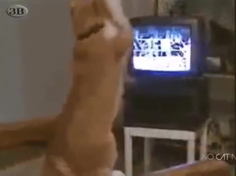 pozitivchik_lit____B8xYDC6H24i___