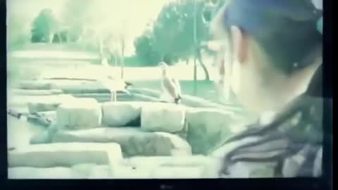 музыка_до_слез