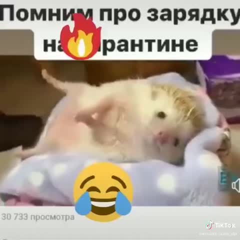 elkonatalia___B-WnJAxIlU-___