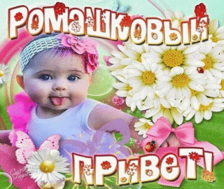 Ромашковый_привет