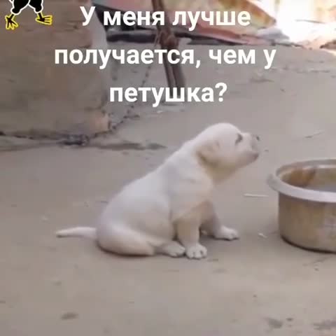 elkonatalia___B-jdihXIU32___