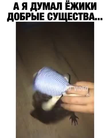 Добрый_Ёжичек